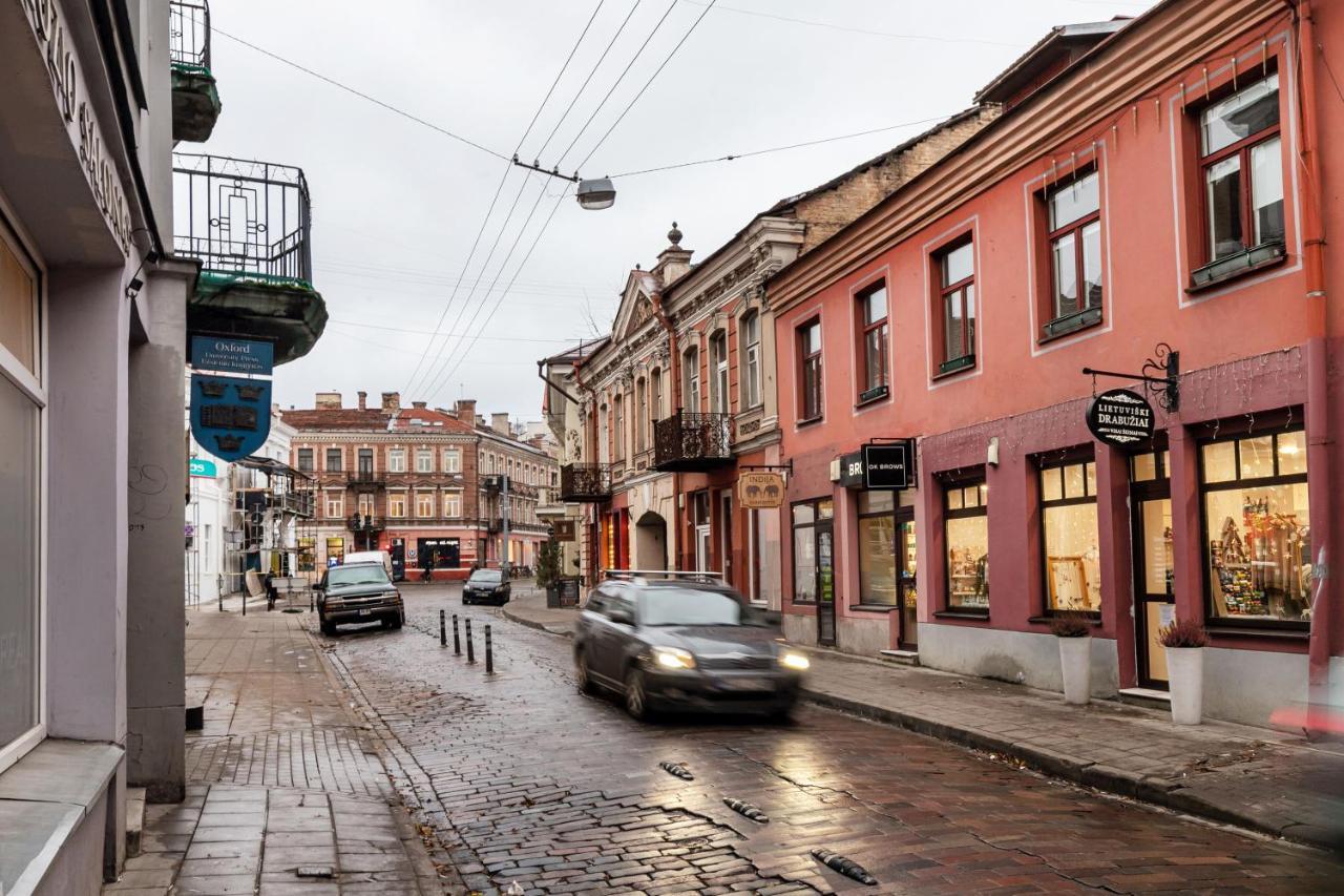 Lovely Apartment Traku Str. Vilnius Ngoại thất bức ảnh