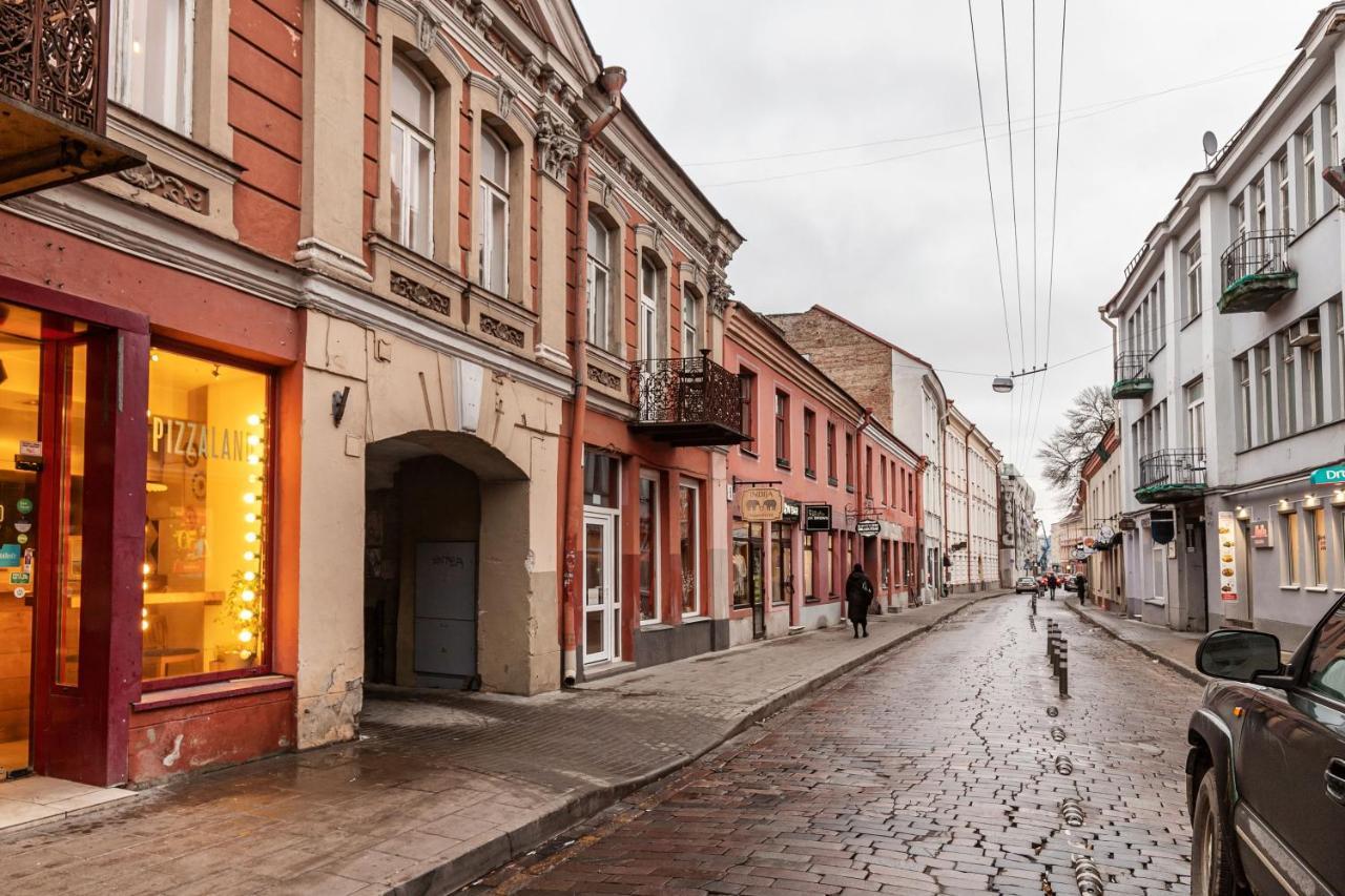 Lovely Apartment Traku Str. Vilnius Ngoại thất bức ảnh